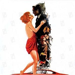 Foto Un tigre en la red