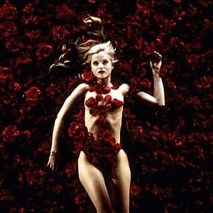 Foto American Beauty