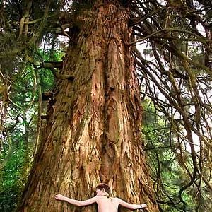 Foto Freddie Highmore