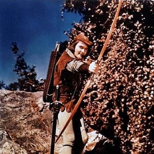 Foto Robin de los Bosques