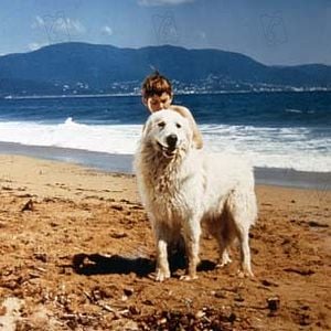 Foto Mehdi El Glaoui