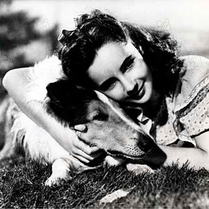 Foto El coraje de Lassie