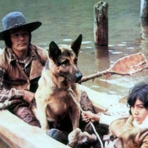 Foto Colmillo blanco