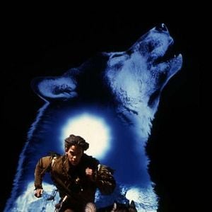 Foto Vuelve Colmillo Blanco