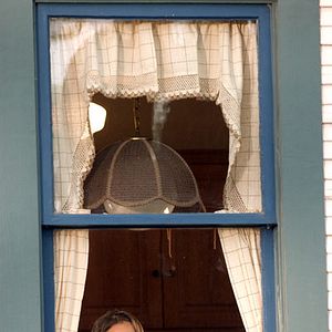 Foto Luciérnagas en el jardín