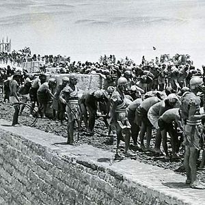 Foto Tierra de faraones