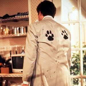 Foto Beethoven: Uno más de la familia