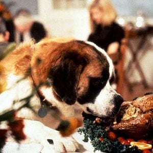 Foto Beethoven: Uno más de la familia