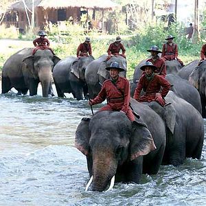 Foto Olivier Horlait