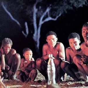 Foto Los dioses deben estar locos