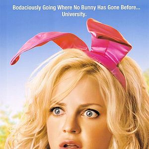 Foto Una conejita en el campus