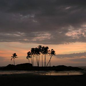 Foto Alison Thompson