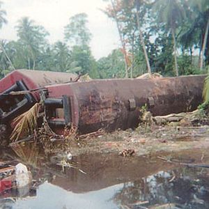 Foto Alison Thompson