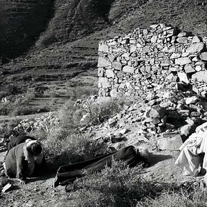 Foto El cant dels ocells