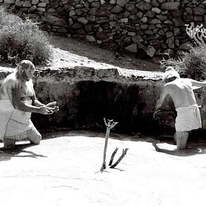 Foto El cant dels ocells