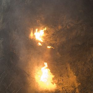 Foto La Amenaza de Andrómeda