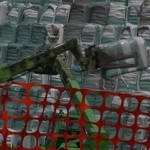 Foto Esmeralda Calabria