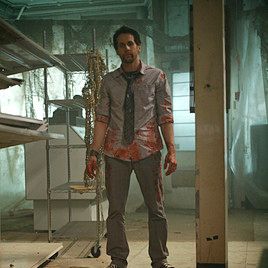 Foto Terror en estado puro