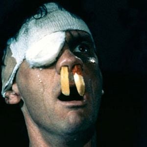 Foto Un pez llamado Wanda