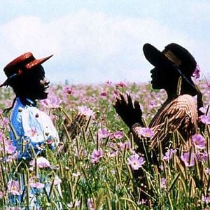 Foto El color púrpura