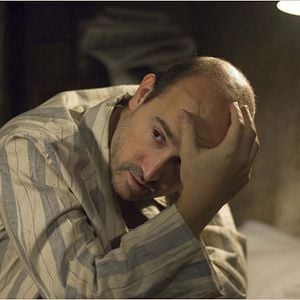 Foto Los girasoles ciegos