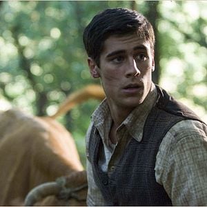 Foto Los girasoles ciegos