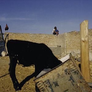 Foto Andréa Santana