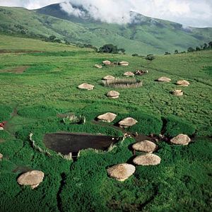 Foto Disneynature. Crimson Wing