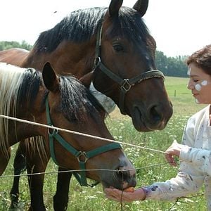 Foto Lo visible y lo invisible