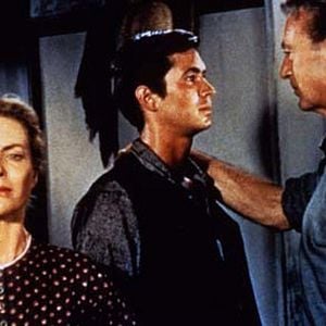 Foto El árbol del ahorcado