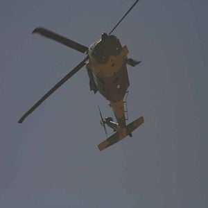 Foto En tierra hostil