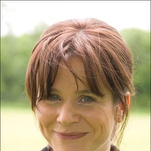 Foto Luciérnagas en el jardín