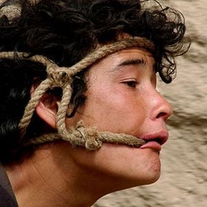 Foto El caballo de dos piernas