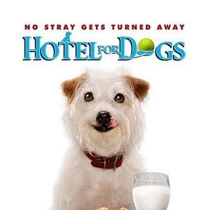 Foto Hotel para perros