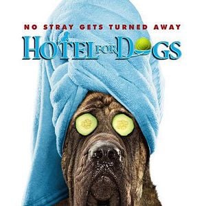 Foto Hotel para perros