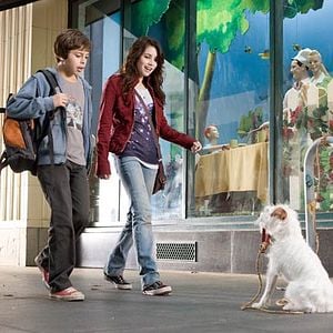 Foto Hotel para perros