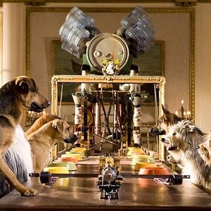 Foto Hotel para perros