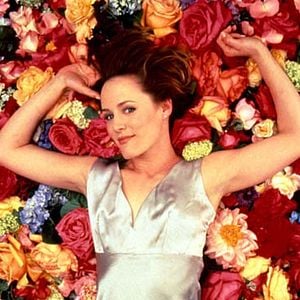 Foto Mil ramos de rosas