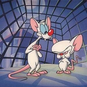 Foto Pinky y Cerebro