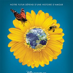 Foto Disneynature: Wings of Life