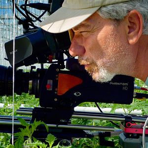 Foto Disneynature: Wings of Life