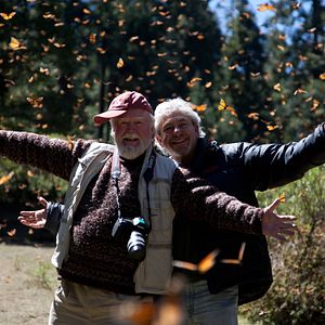 Foto Disneynature: Wings of Life