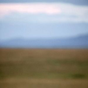 Foto Grandes Felinos Africanos: El reino del coraje