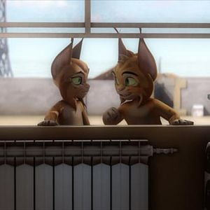 Foto El Lince Perdido