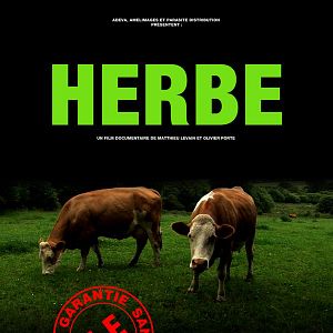 Foto Matthieu Levain