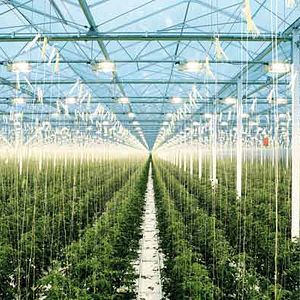 Foto Pierre Barougier