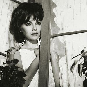 Foto Señoras y señores