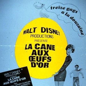 Foto Millonarios por una pata