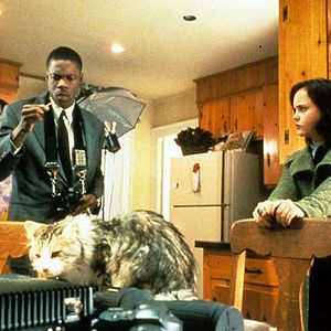 Foto Un gato del FBI