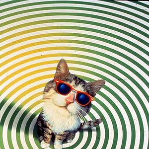 Foto Un gato del FBI